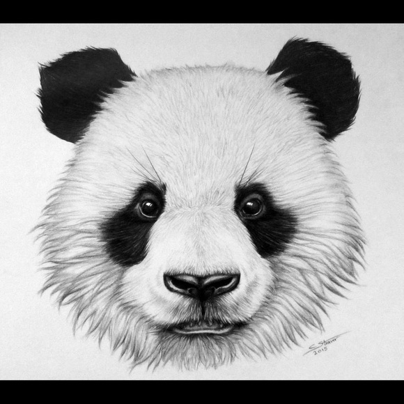 Meet your Posher, Jeremy - Picture 1 of 1